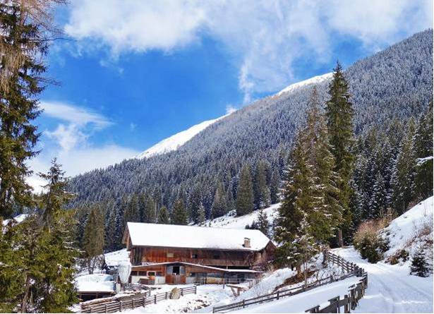 CAI - Sez.San Vito di Cadore e Sez.Cadorine - Escursione Invernale 2019  Malga Uwald 2042 m.