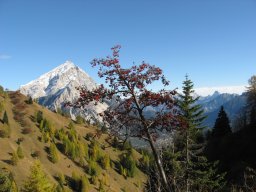Paesaggi